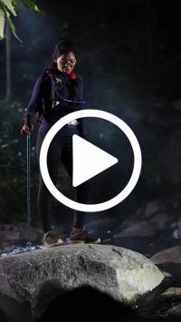 BIB:  <button type="button" onclick="openModal(28085663)" class="btn btn-primary btn-sm float-right" data-toggle="modal" data-target=".modal-high-quality">
                <i class="fa fa-download"></i> Download
                </button>